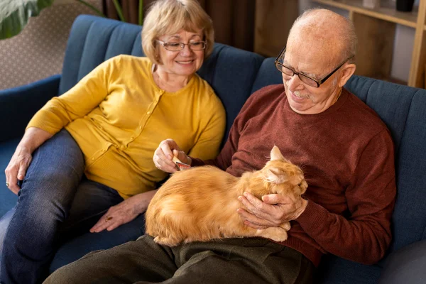 Imagem de um casal de idosos com um gato no colo. Metrópoles