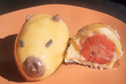 Capivara do amor