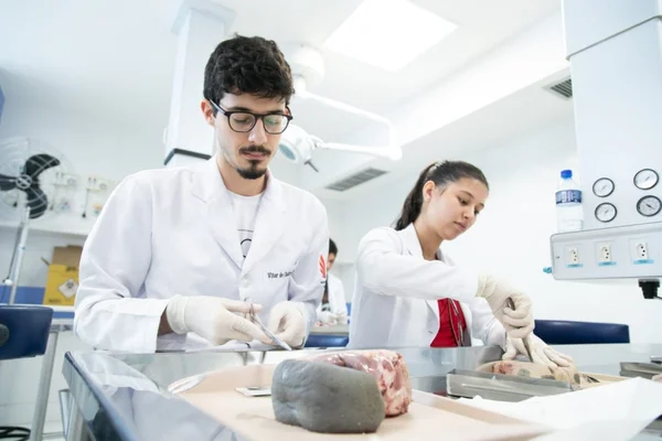 Medicina e nutrição do UniCeub conquistam nota máxima no MEC