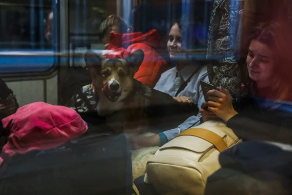 Refugiados ucranianos chegam de trem em estação de Krakov, na Polônia. No colo de uma delas, está um cachorro - Metrópoles