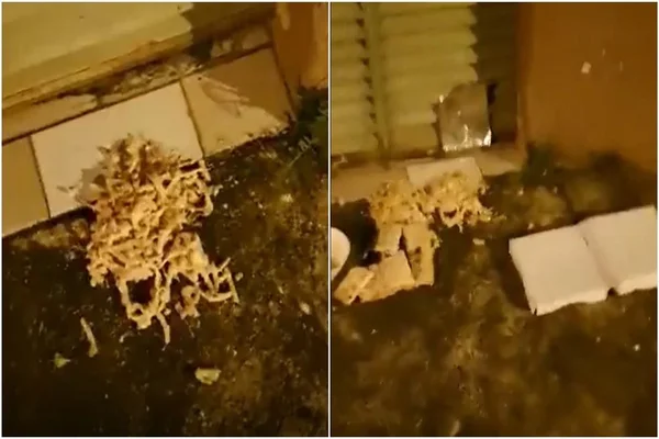 Entregador joga comida em porta de casa e grava momento - Metrópoles