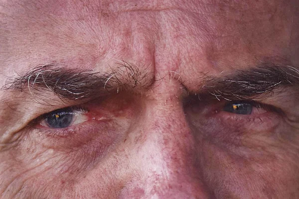 Bolsonaro: “Facada não me elegeu, eu já estava eleito”