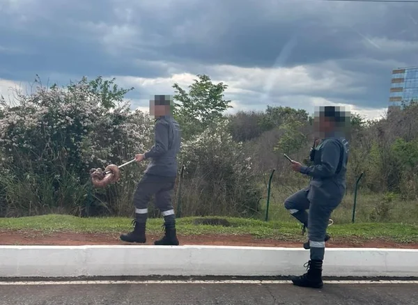 Imagem colorida de duas pessoas com uniforme cinza em região de mata