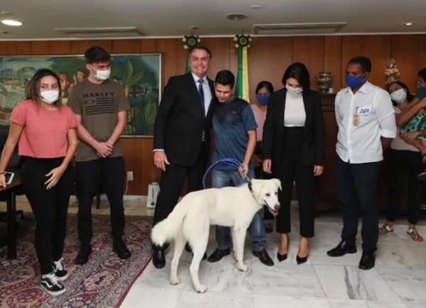 Após devolução de Augusto, abrigo de animais convida Michelle a adotar cão