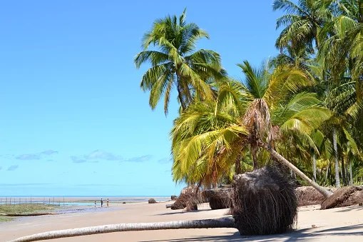 Maceió - turismo - viagem