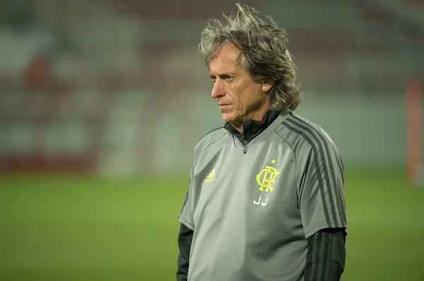 TV de Portugal crava acerto entre Jorge Jesus, do Flamengo, e Benfica