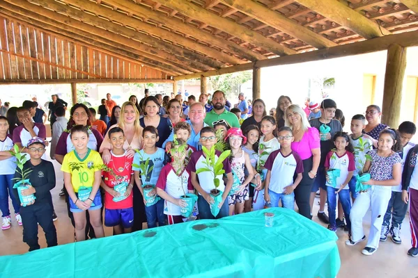 imagem colorida virada ambiental aparecida de goiania