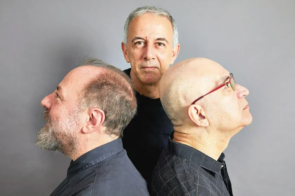 paralamas