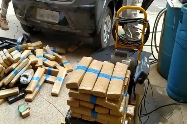 maconha apreendida