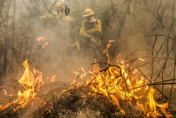 Imagem colorida de fogo em uma floresta com bombeiros ao fundo