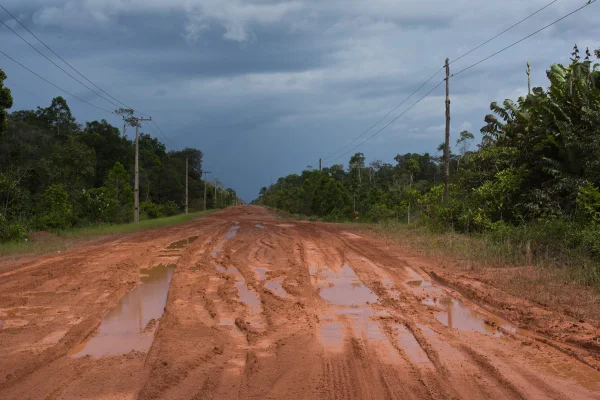 Foto colorida da BR-319 na Amazônia - Metrópoles