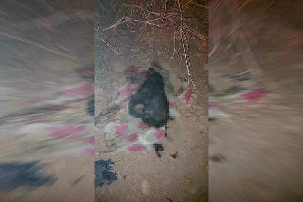 Crânio apresentado como se fosse de humano é, na verdade, de um cachorro