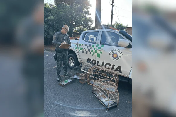 Moradora de Presidente Prudente SP é multada em 3 mil reais por manter aves silvestres em cativeiro