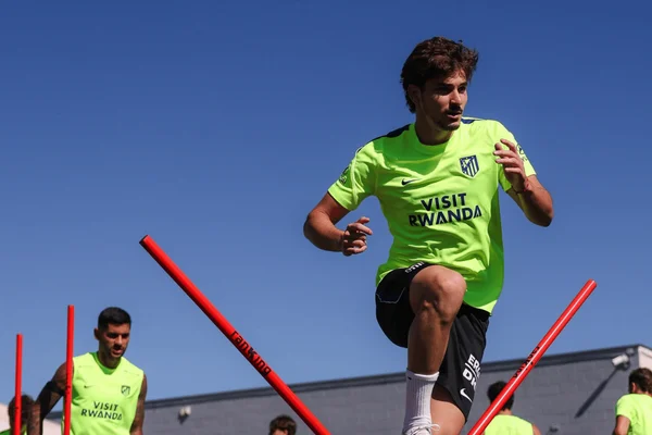 Julián Álvarez participa de atividades no Atlético de Madrid