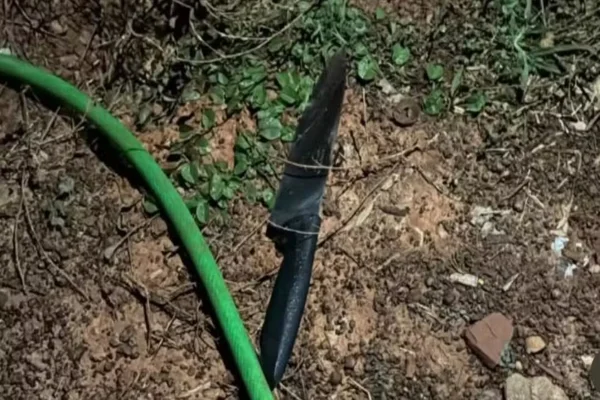 Adolescente de 16 anos mata o padrasto após ver a mãe sendo agredida