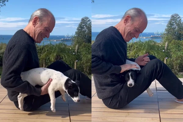 Vídeo Ney Matogrosso derrete fãs com momento fofo ao lado de pet
