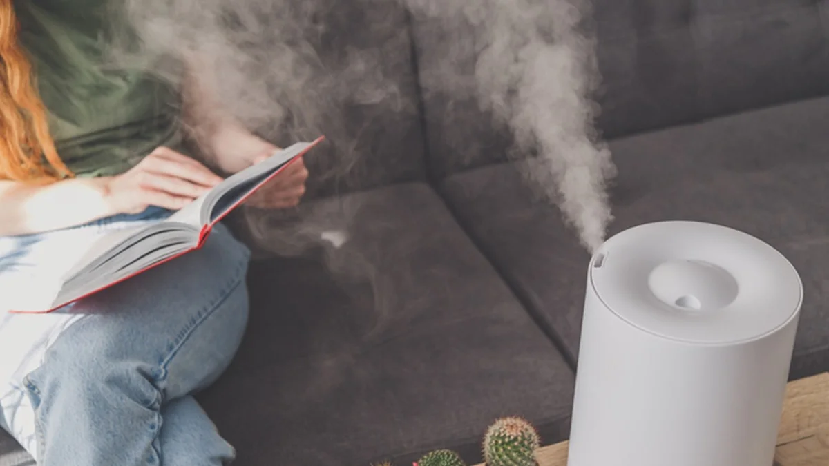 Fumaça e baixa umidade: saiba como melhorar qualidade do ar em casa