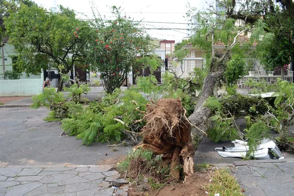 Conselho de Arquitetura e Urbanismo oferece vagas no Rio Grande do Sul