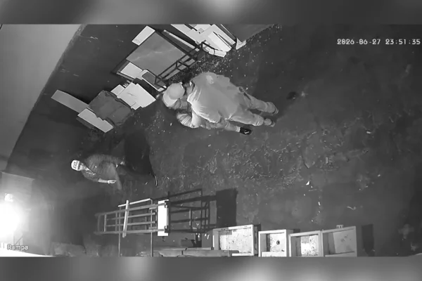 Câmeras flagram vizinhos tentando salvar mulher morta com 28 facadas