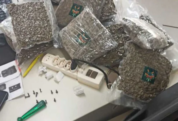 Foto colorida de maconha apreendida pela Polícia Rodoviária federal (PRF) no Mato Grosso do Sul - Metrópoles