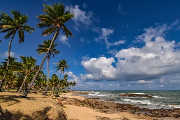 Pacote para Costa do Sauípe, com hospedagem all inclusive, por R$ 799