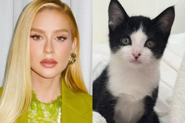 Após horas de busca, Marina Ruy Barbosa localiza gato João - Metrópoles