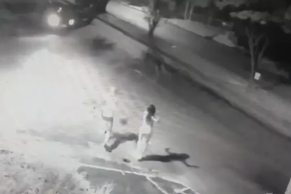 Vídeo: passageiros atiram pedras em motorista e são atropelados em MG