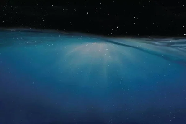 Os humanos conhecem mais o espaço ou o oceano?