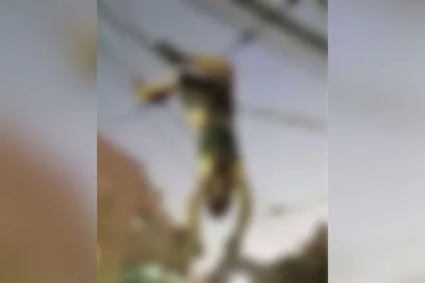 Imagem borrada de homem morto eletrocutado em fios de alta tensão - Metrópoles