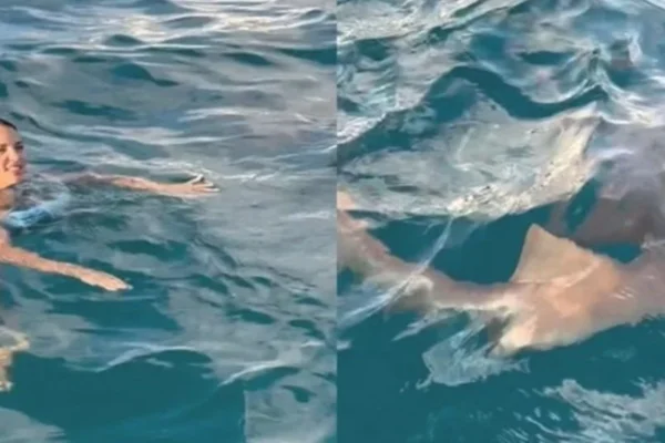 Turista é surpreendida por tubarão e acaba chutando animal com o susto