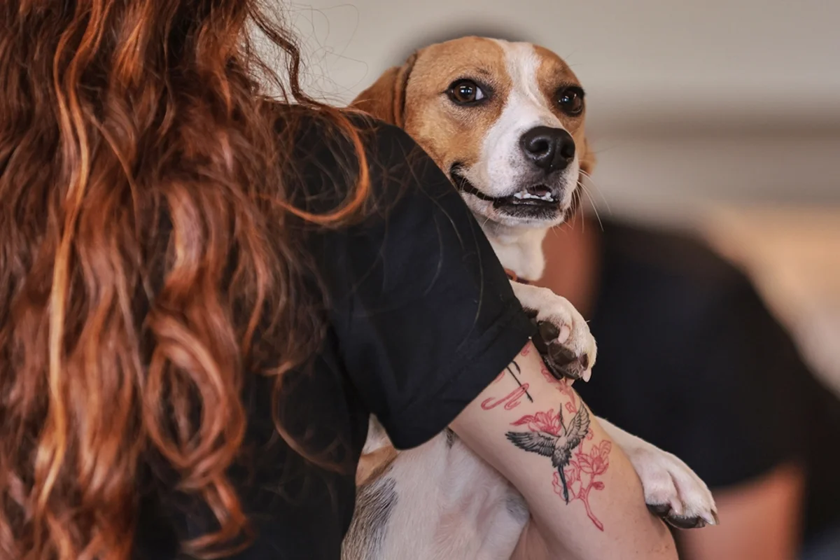 Mulheres desenvolvem vínculos mais fortes com seus pets, aponta estudo