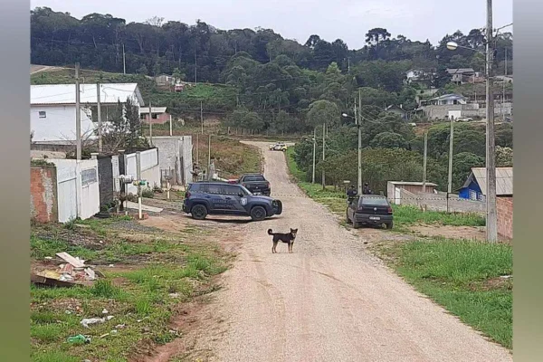 Durante surto, adolescente de 14 anos faz mãe de refém no Paraná