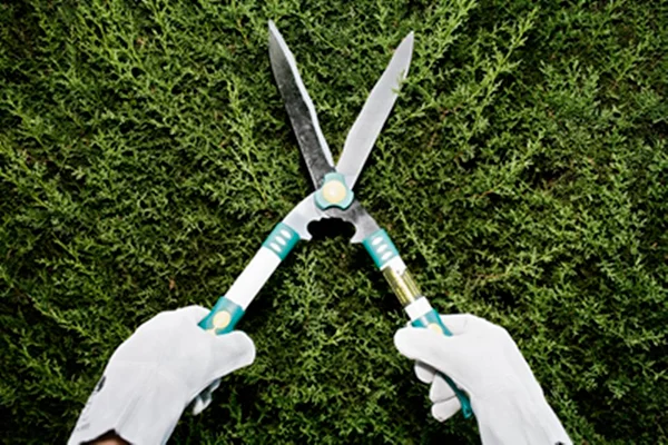 Tesoura de Jardinagem