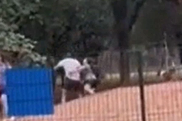 O suspeito bull entrou, com o pit-bull, na área destinada a pets pequenos do cachorródromo do Parque Ibirapuera e discutiu com o casal - Metrópoles