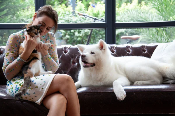 mulher segurando um gato no colo ao lado de um cachorro no sofá