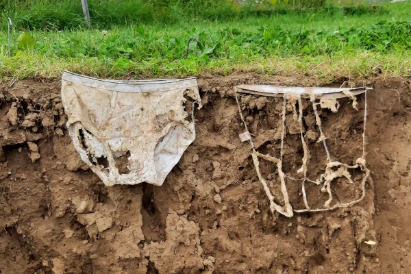 Imagem colorida mostra roupas intímas enterradas em solo - Metrópoles