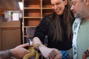 Felca é picado por uma cobra