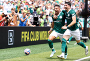 Com gol de Paulinho, o Palmeiras venceu o Botafogo e se classificou para as quartas de final