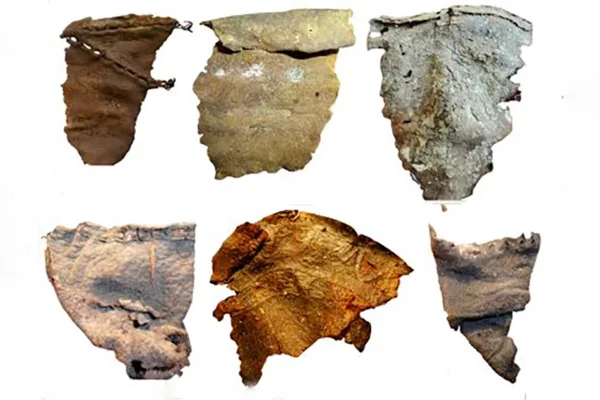 Imagem colorida mostra fragmentos de couro analisados no estudo publicado na revista PLOS One sobre os Citas - Metrópoles