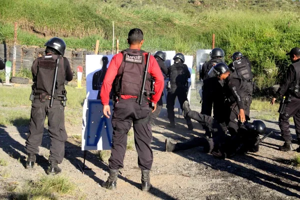Transferência de 534 agentes de custódia para o sistema penitenciário pode comprometer investigações e atendimento ao público