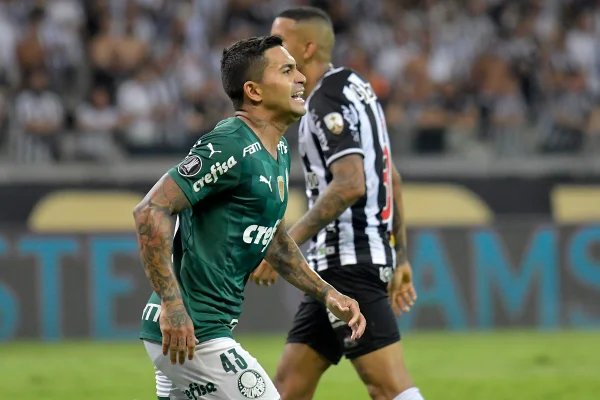 Dudu Palmeiras