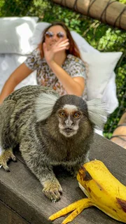 A Cabana da Bolha não permite hospedagem de pets, mas recebe visitas de animais silvestres A Cabana da Bolha não permite hospedagem de pets, mas recebe visitas de animais silvestres