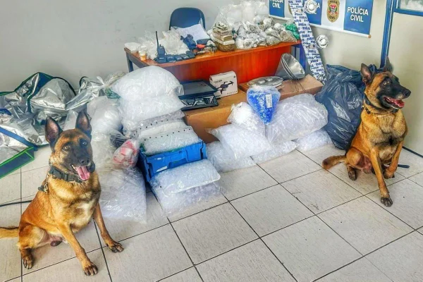 Imagem colorida dos cães farejadores, de pelugem amarelada e preto, sentados próximos a pacotes com drogas embaladas - Metrópoles