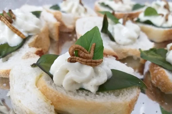 Dia das crianças: zoológico brasileiro serve lanches com insetos