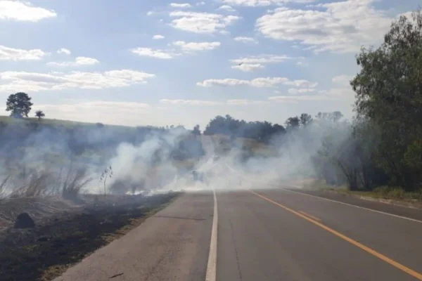 DER investiu R$65 milhões para realizar limpeza de margens e resfriamento do asfalto nas estradas para evitar incêndios - Metrópoles