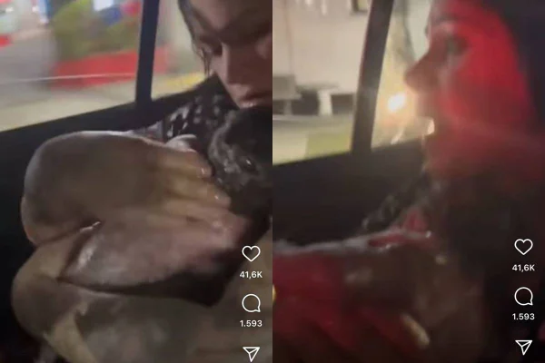 Dez anos após ter dado à luz no corredor do hospital, mulher tem sua 2ª filha no banco de trás do carro, a caminho de maternidade em Santos - Metrópoles