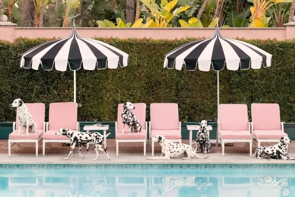 Beverly Hills Hotel