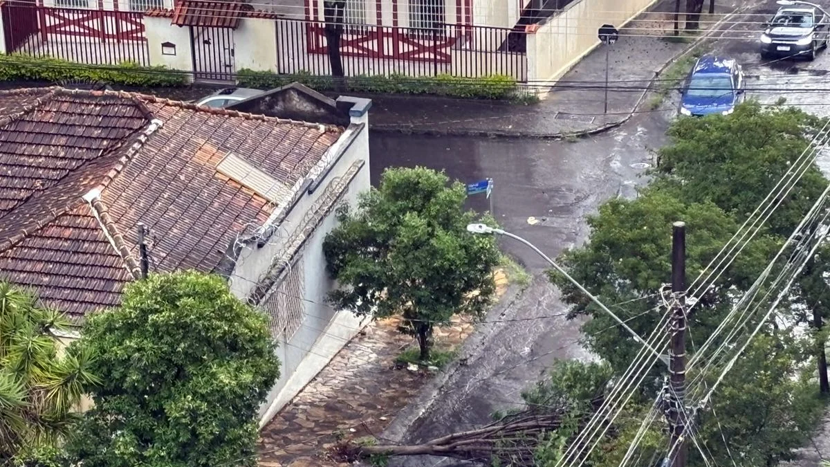 Imagem da notícia publicada por Metrópoles Minas