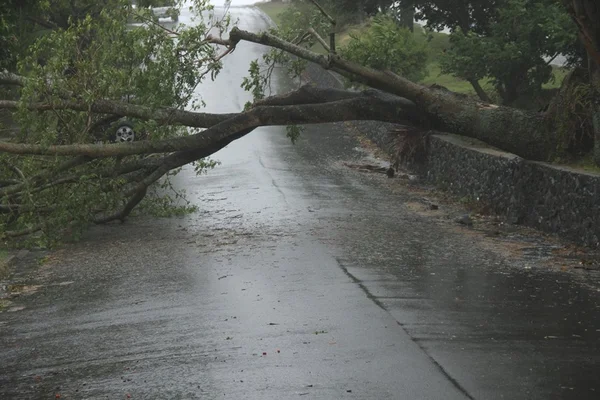 Tempestade deixa cinco mortos na Europa Central