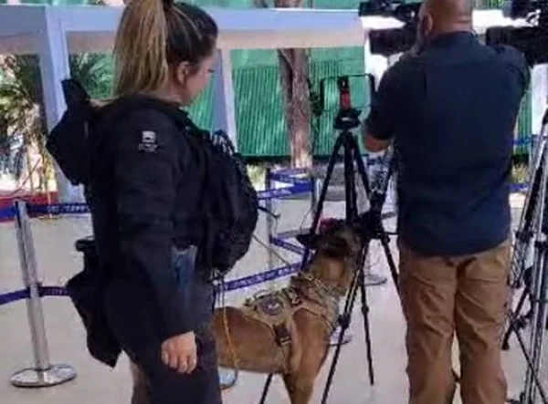 Imagem colorida de Jehtro, cão farejador, da Polícia do senado, e seus treinadores
